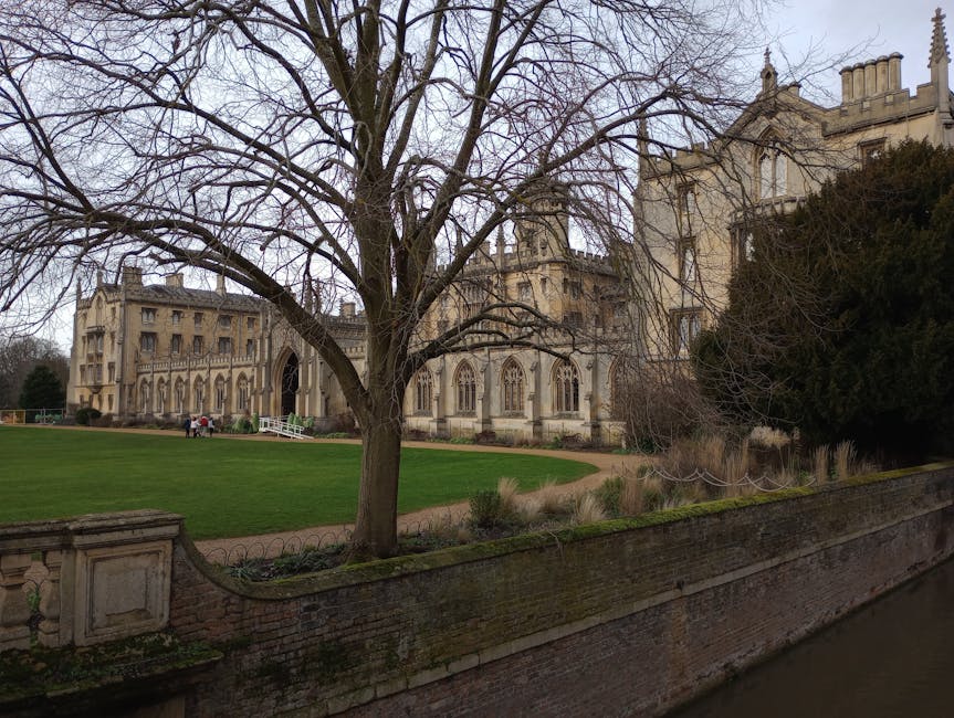 A large leafless tree with numerous twisting branches stands in the foreground, positioned on a grassy area with well-maintained green turf. Behind the tree, there is a historic stone building featuring Gothic architectural details, including arched windows and decorative spires, with a weathered, light-colored facade. To the right, a dense dark green hedge partially obscures the building’s right side. A low brick wall with a concrete cap runs along the front, separating the garden from a narrow waterway or canal visible at the bottom of the image. In the background, a couple of people are walking near the building, contributing to a sense of scale. The scene is lit by soft, diffused daylight typical of an overcast day, with no visible shadows. This image, linked to waste management services, subtly illustrates the tranquil setting where private or alternative rubbish removal services might take place away from public authority collection points, especially in historic or landscaped environments, as referenced on Rubbish Removal Merton's website.